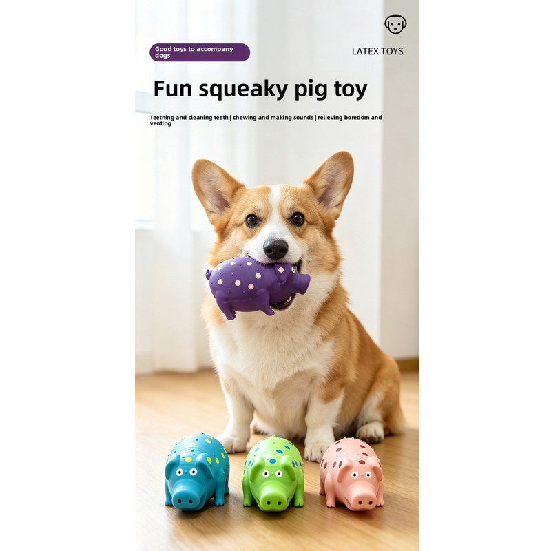 Flying Disc Dog Training Toy - 방수 강아지 프리스비 장난감 실리콘 플로팅