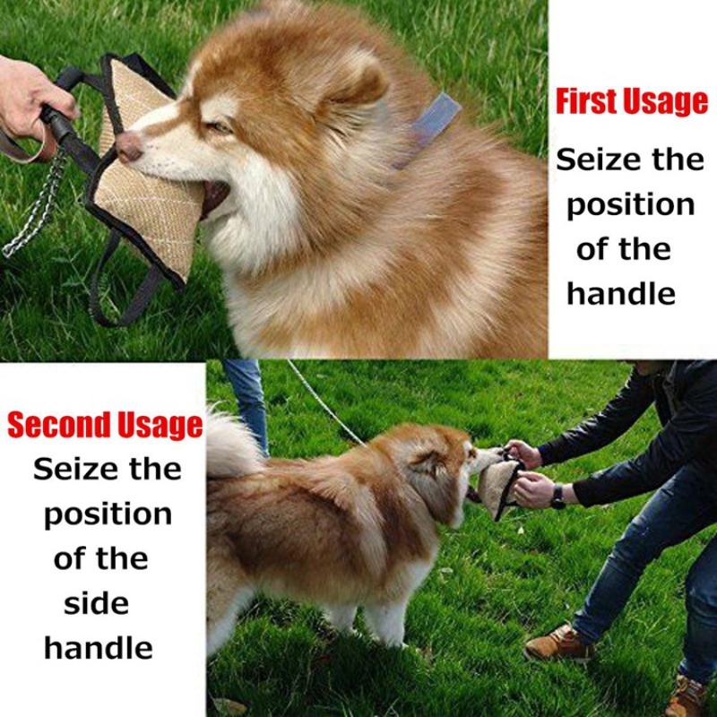 튼튼한 강아지 훈련용 바이트 터그 장난감, 3개의 손잡 - Interactive Squeaky Plush Dog Toy 리뷰 및 가격