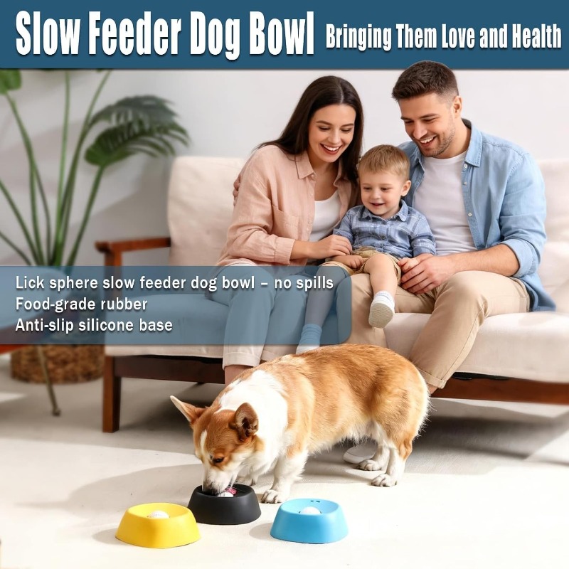 강아지용 천천히 먹을 수 있도록 설계된 공 모양 장난감 - Dog Puzzle Feeder Toy 리뷰 및 가격