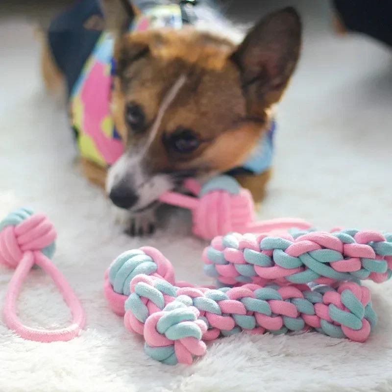 JUSTINLAU 애완 동물 장난감 안티 바이트 치아  - Indestructible Dog Chew Toy 리뷰 및 가격