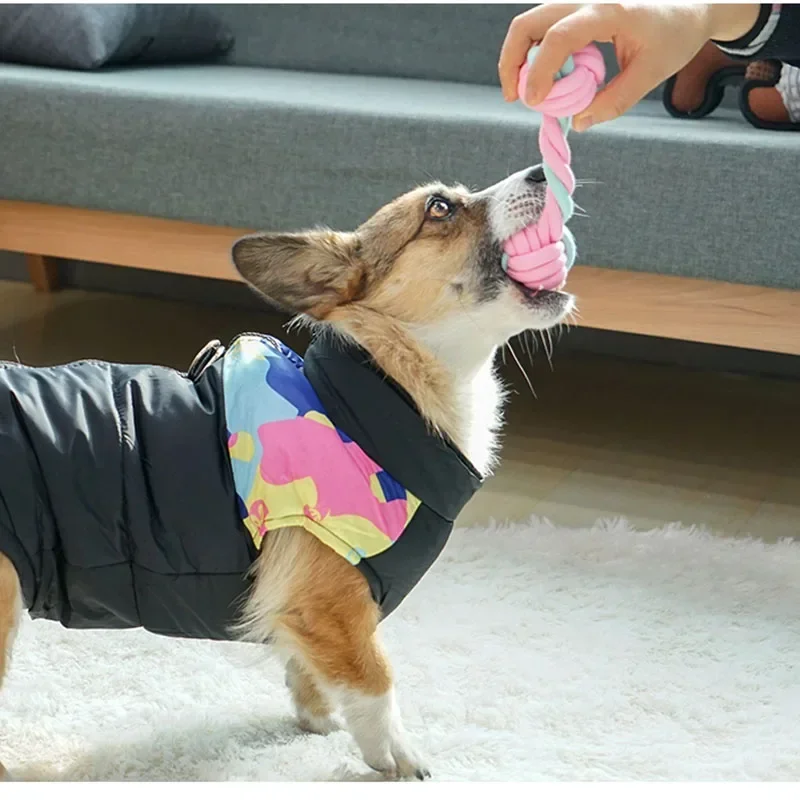 JUSTINLAU 애완 동물 장난감 안티 바이트 치아  - Indestructible Dog Chew Toy 리뷰 및 가격