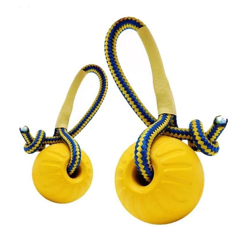 1개입 강아지용 깨지지 않는 고무 씹는 장난감, 재미있 - Indestructible Dog Chew Toy 리뷰 및 가격